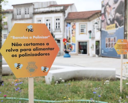 Município de Barcelos lança iniciativa “Barcelos Poliniza” para proteger os polinizadores e promover a biodiversidade