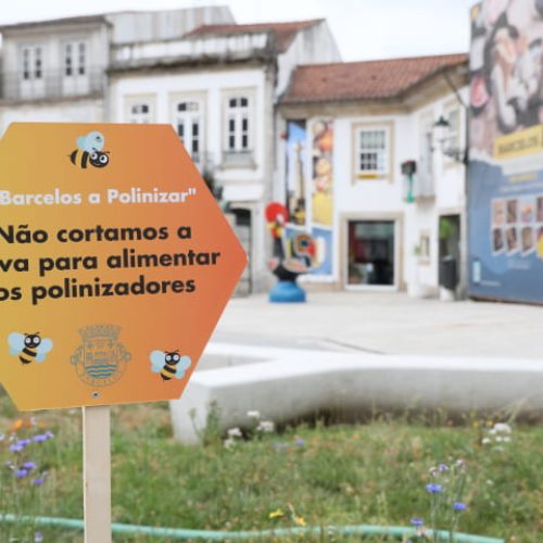 Município de Barcelos lança iniciativa “Barcelos Poliniza” para proteger os polinizadores e promover a biodiversidade