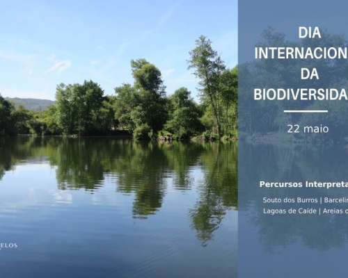 Dia Internacional da Biodiversidade | Souto dos Burros e Lagoas de Caíde em Areias de Vilar