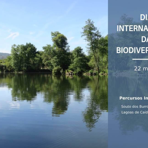 Dia Internacional da Biodiversidade | Souto dos Burros e Lagoas de Caíde em Areias de Vilar