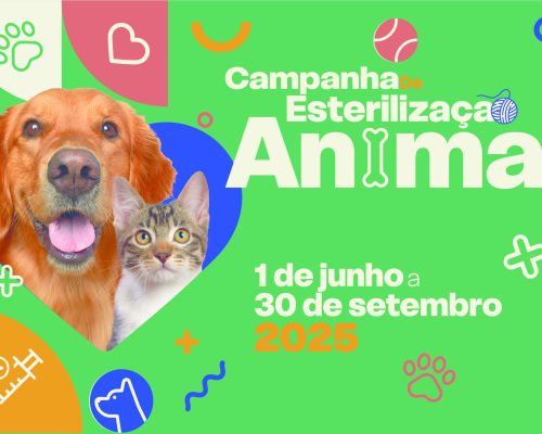 Barcelos lança campanha de esterilização animal com apoio financeiro