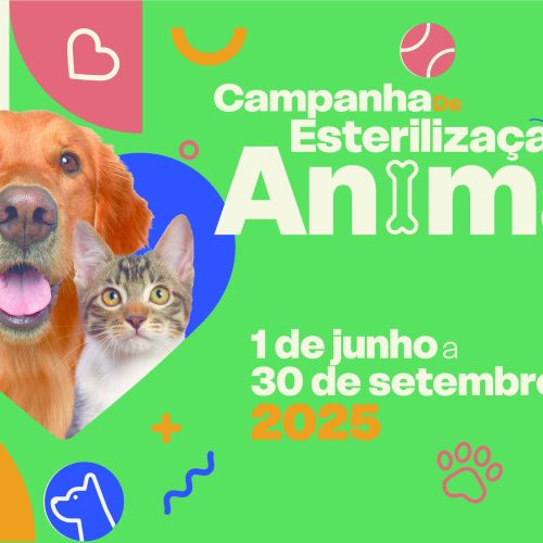 Barcelos lança campanha de esterilização animal com apoio financeiro