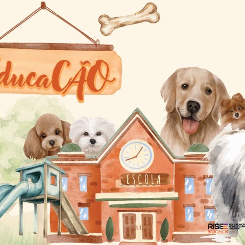 Câmara Municipal de Barcelos lança Programa EducaCÃO nas escolas