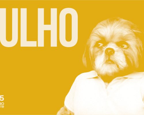 Espetáculos ao ar livre animam a programação de julho do Theatro Gil Vicente